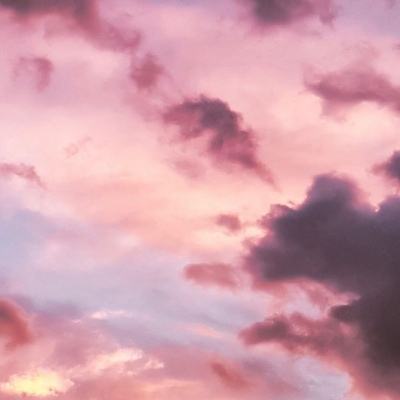 亚搏平台最新版app下载截图